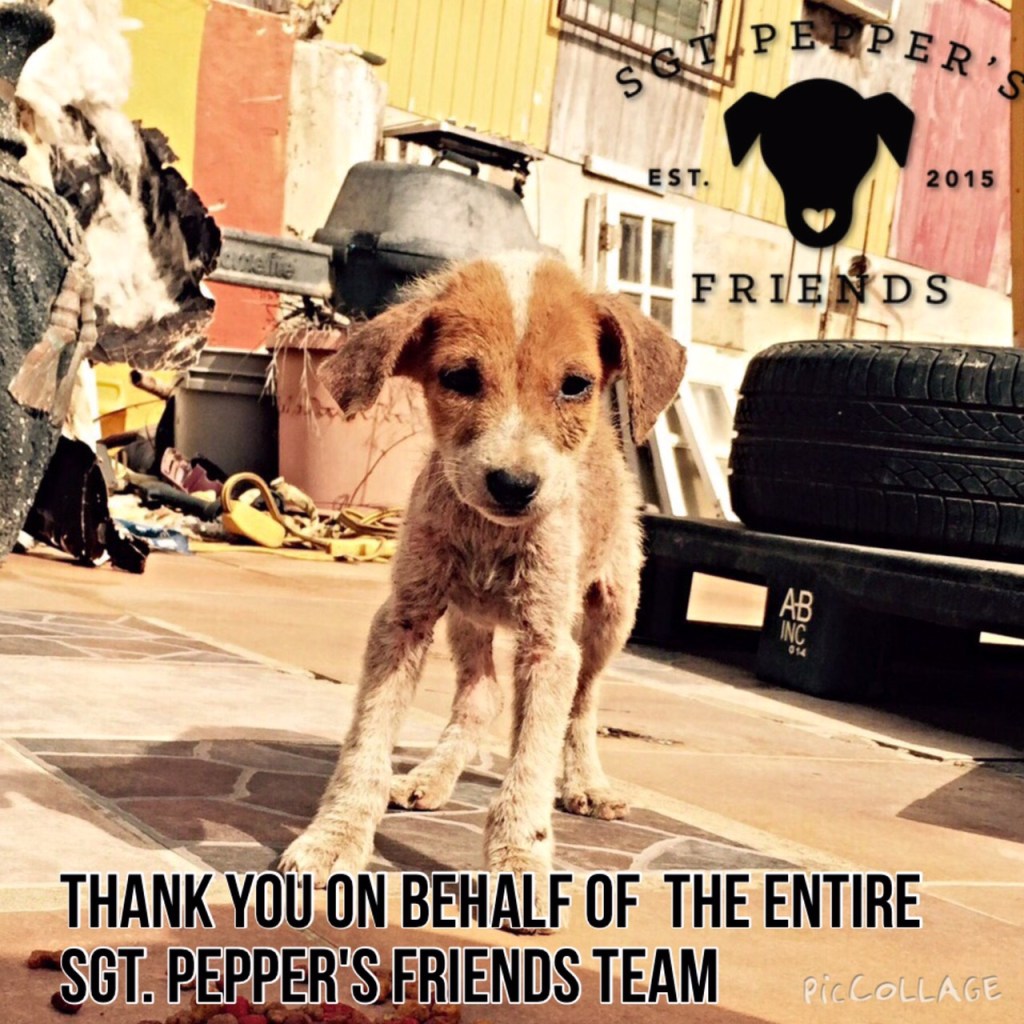 Thank you for your donation